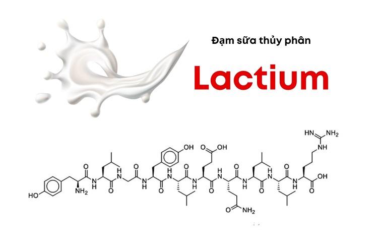 Lactium là một loại decapeptit được thủy phân từ Casein sữa